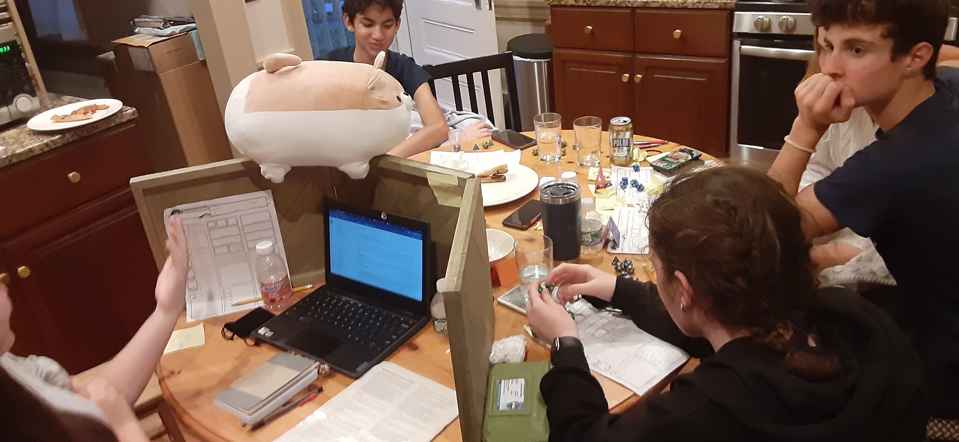 The DnD group I started with these friends. At one of the last sessions I let my friend harper take over. I was happy to know it would continue without me.